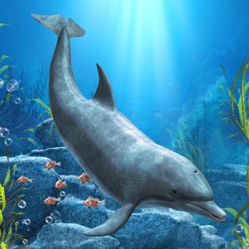 Sweet Dolphins Live Wallpaper截图11