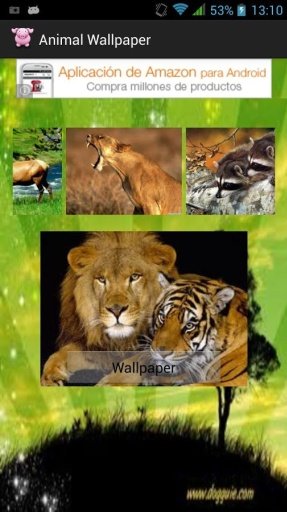 Animal Wallpaper截图1