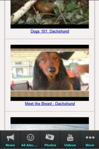 Dachshund Ultimate Owner App截图3