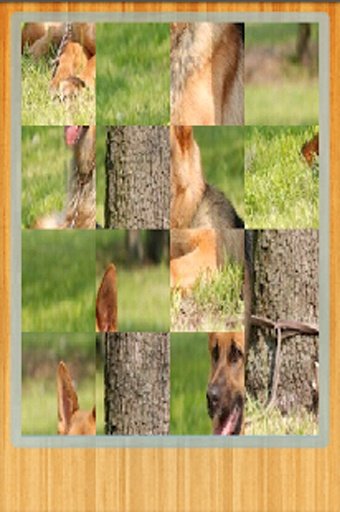 German Shepherd Wallpapers截图2