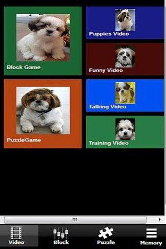 My Cute Shih Tzu Puppies截图5