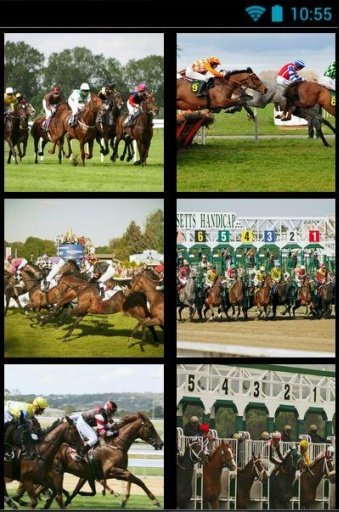 Horse Racing Frenzy截图6