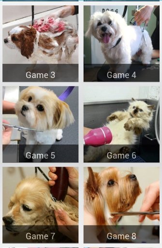 Dog &amp; Cat Spa Salon截图1