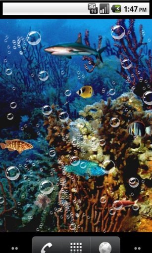 Nature aquarium Live Wallpaper截图3