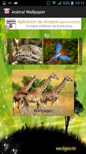 Animal Wallpaper截图3