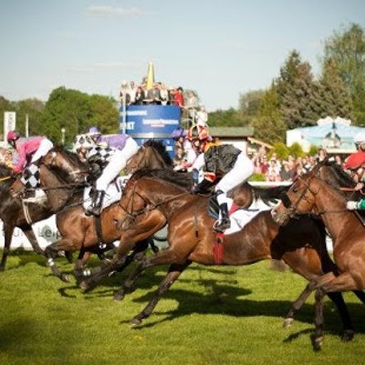 Horse Racing Frenzy截图8