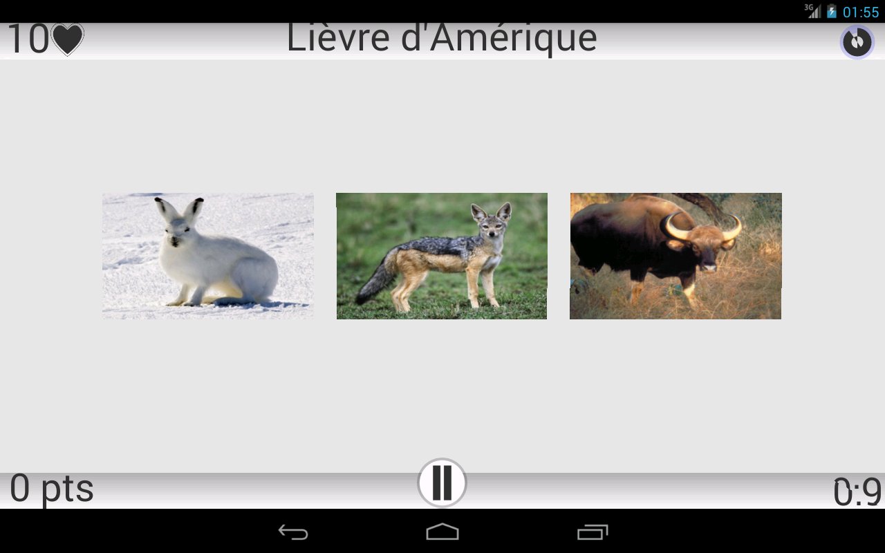 Animaux Quiz截图7