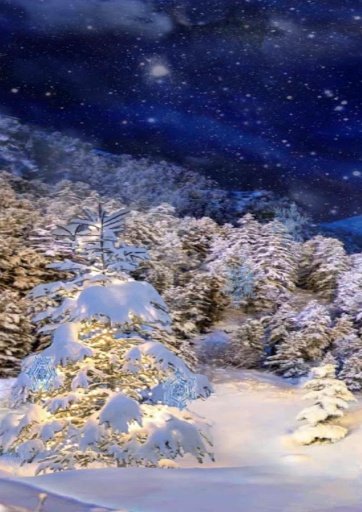 3D winter live wallpaper!截图5