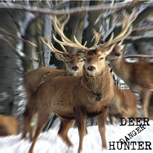 Deer Danger Hunter截图4