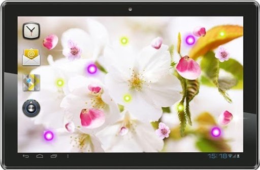 Sakura Free live wallpaper截图2