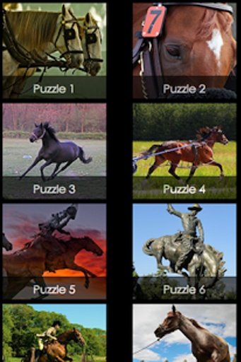 Horse Racing Free截图3