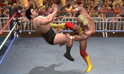 Wrestling 3D 2014截图1