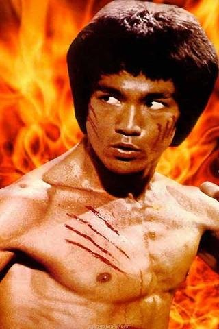 Bruce Lee &quot;The Dragon&quot; LWP截图2