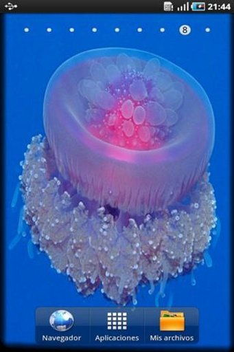 Jelly Fish 3D Illusion LWP截图3