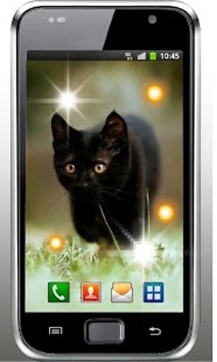 Plush Kitty HD Live Wallpaper截图8