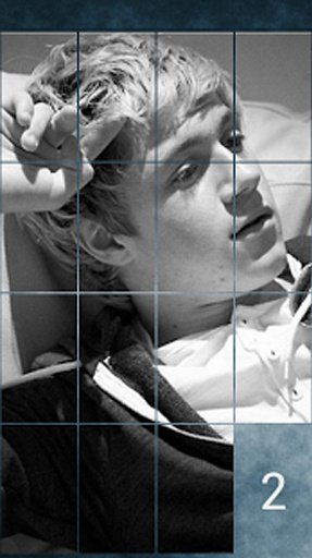 Niall Horan Puzzle Game截图1