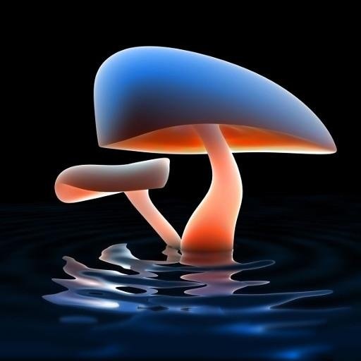 Mushrooms 3D Live Wallpaper截图9