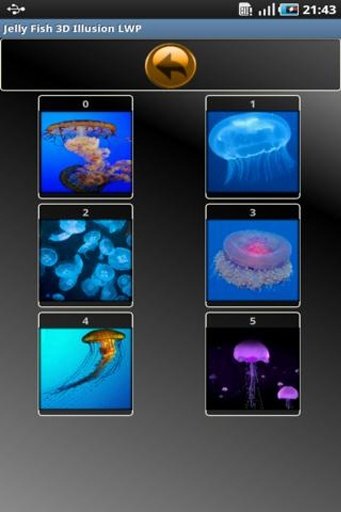 Jelly Fish 3D Illusion LWP截图1