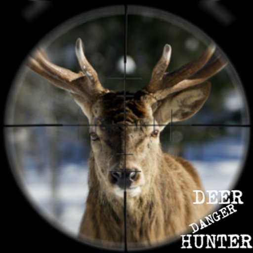 Deer Danger Hunter截图2