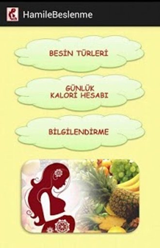 Sağlıklı Hamilelik截图1