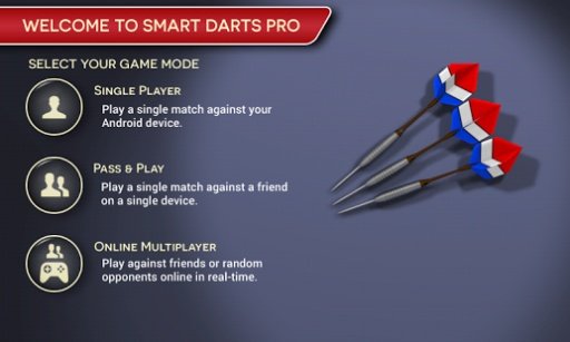 Smart Darts Pro截图3