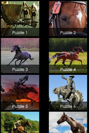 Horse Racing Free截图2