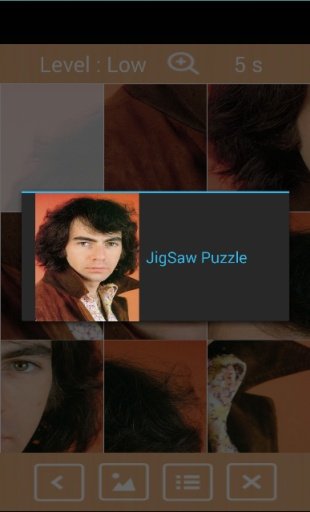 Neil Diamond Puzzle Game截图3