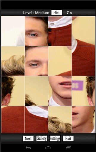 One Direction Fan Puzzle截图1