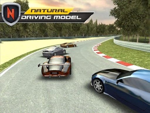 Real Car Speed Drive截图2