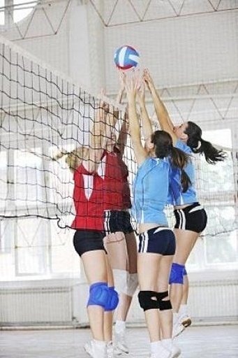 VolleyBall HD Game Free截图3