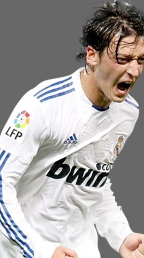 Mesut Özil Wallpapers截图1