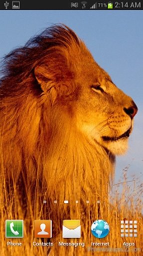 Lion The King Live Wallpaper截图9