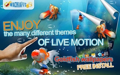 Goldfish Swim 3D Aquarium LWP截图6