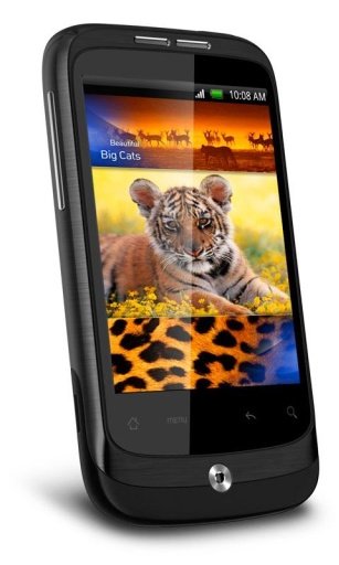 Tiger Queen HD Live Wallpaper截图2