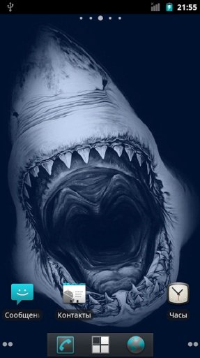 Shark HQ Live Wallpaper截图4