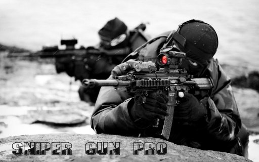 Sniper Gun Pro截图1