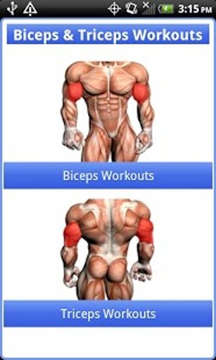 Biceps &amp; Triceps Workouts截图2