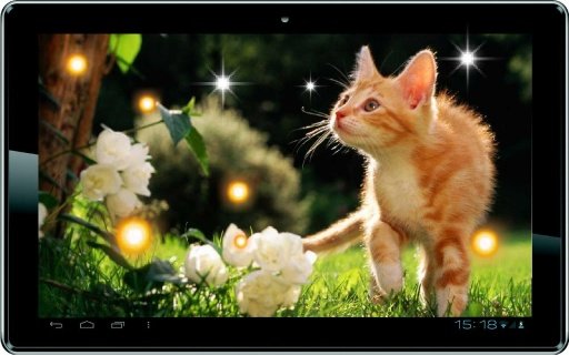 Plush Kitty HD Live Wallpaper截图2