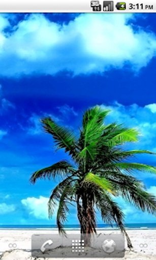 Trees Wallpaper截图3