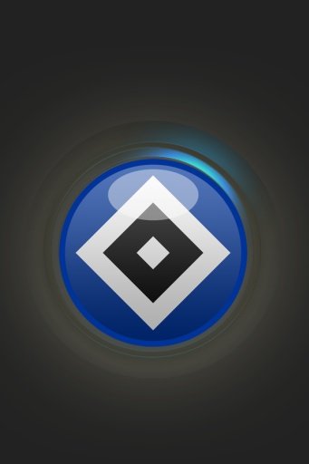 HSV Goal Flashlight截图1