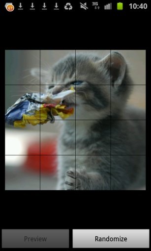 Adorable Kitten Puzzles FREE!截图6