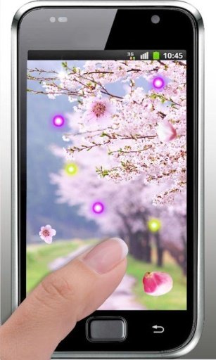 Sakura Free live wallpaper截图4