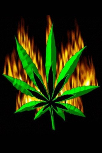 Weed Flaming Live Wallpaper截图2