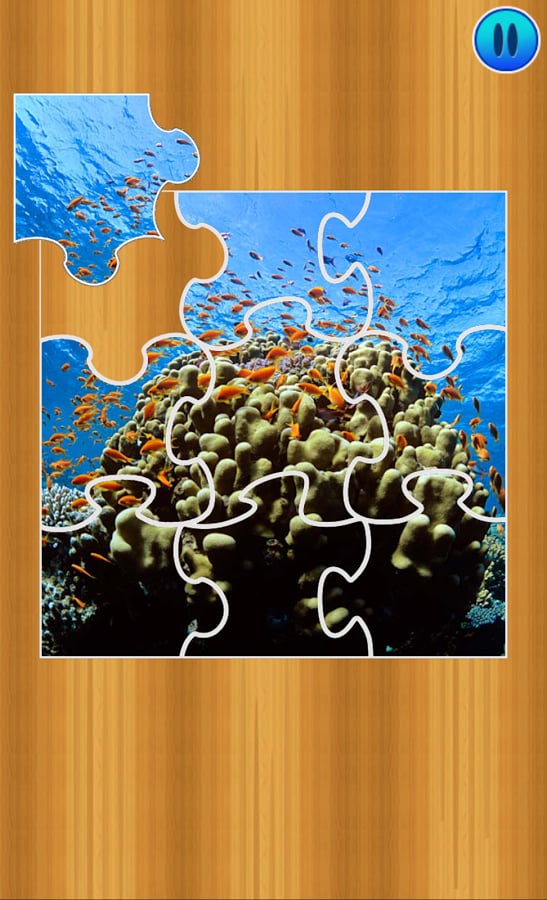 Sea Puzzles截图1