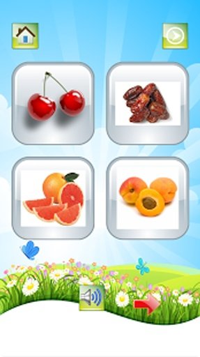 Fruit For Kid截图7