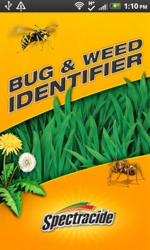 Bug &amp; Weed Identifier截图5