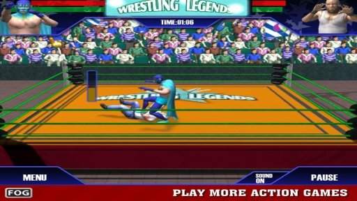 Wrestling Legends 3D截图1