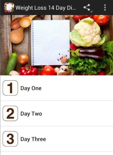 Weight Loss 14 Day Diet Plan截图3