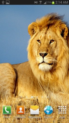 Lion The King Live Wallpaper截图11