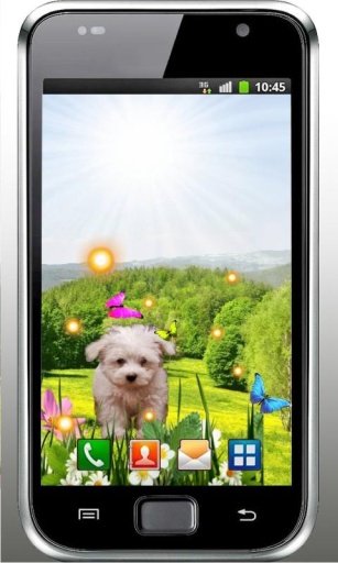 Spring Puppy live wallpaper截图2